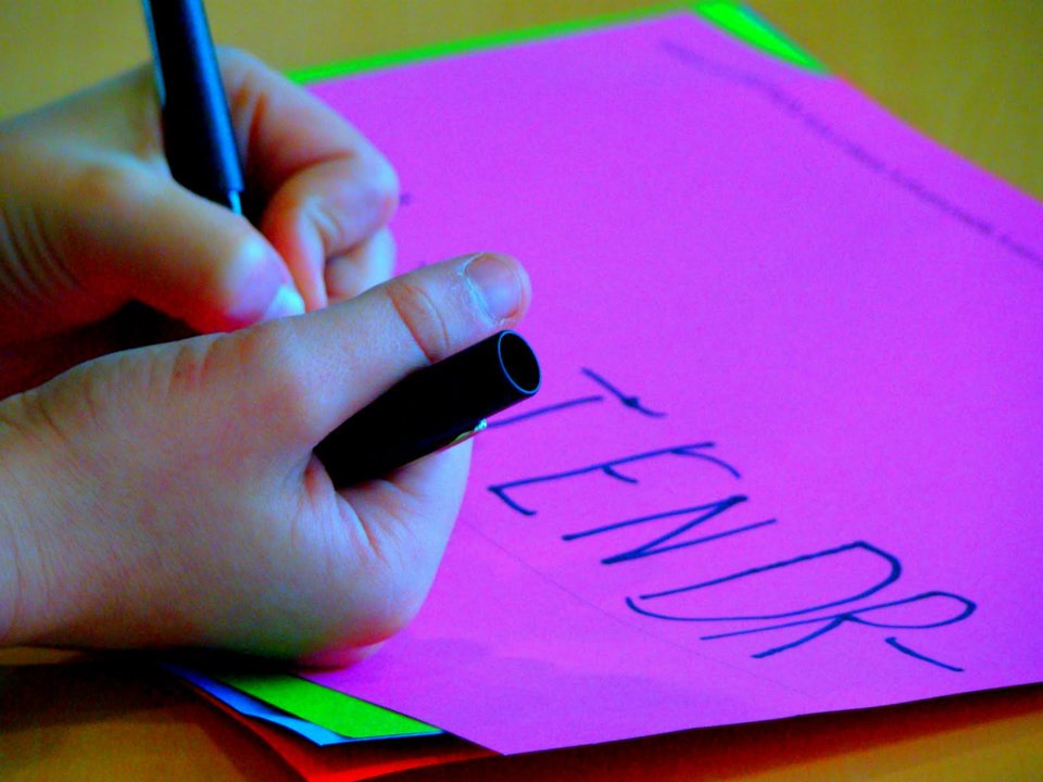 378460_307443019278194_29772114_n